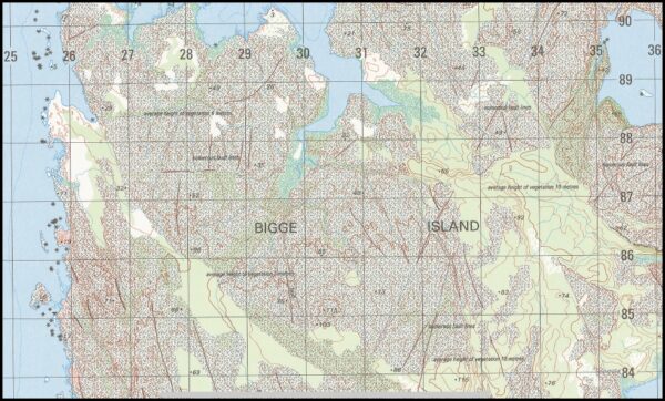 Bigge 1-50000 Topographic Map 3968-4 WA - Maps, Books & Travel Guides