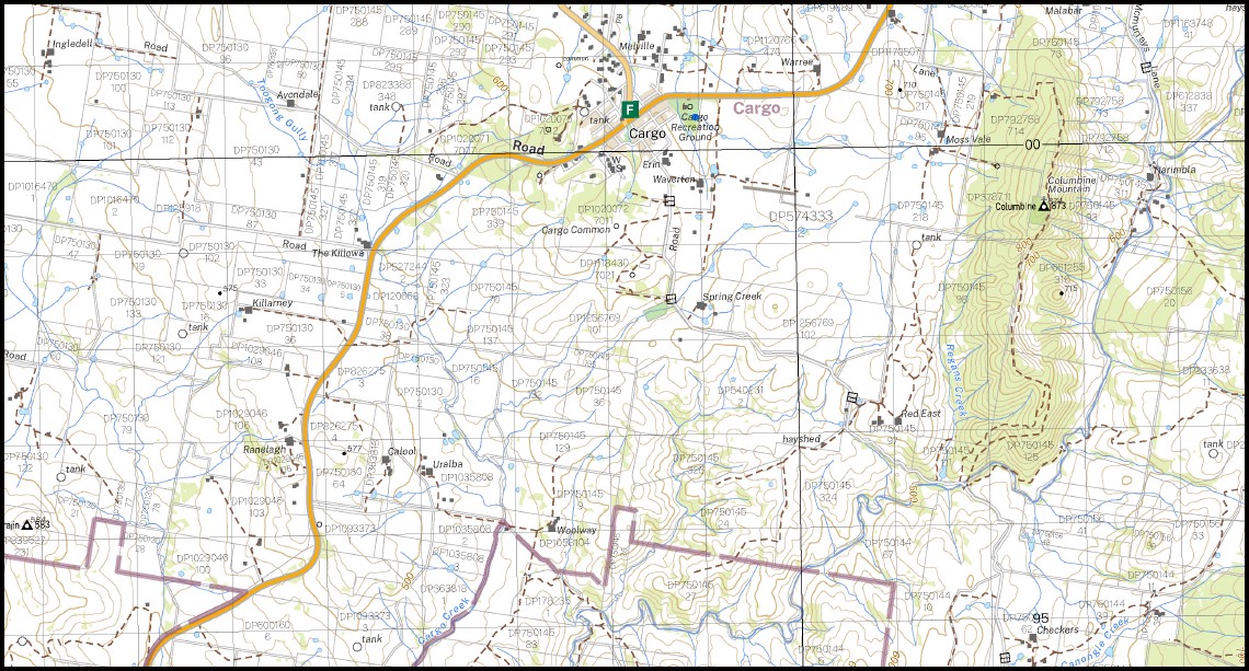 Cudal 1-50,000 NSW Topographic Map 8631-S - Image 2