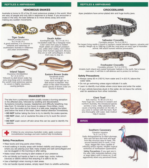 Australia's Dangerous Animals Pocket Guide - Maps, Books & Travel Guides