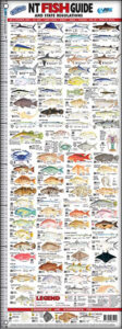 NT Fish Guide ID Rulers AFN - Maps, Books & Travel Guides