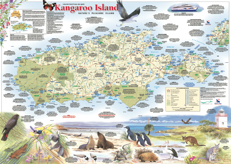 Kangaroo Island Map Flatearth 6 