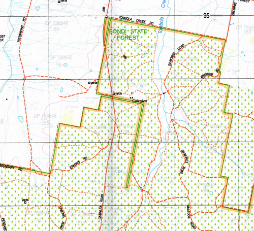 Mount Tennyson 1-25,000 NSW Topographic Map