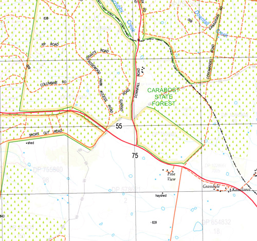 Rosewood 1-25,000 NSW Topographic Map