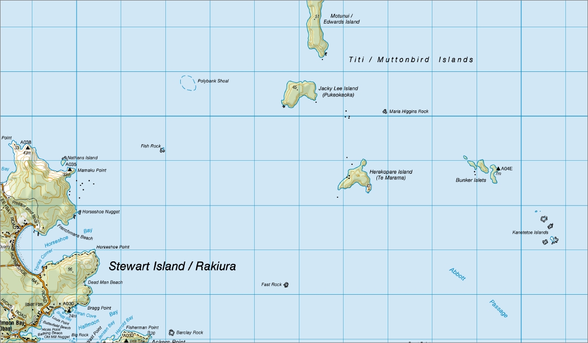 Foveaux Strait 1-50,000 Topo CH10 NZ - Image 2