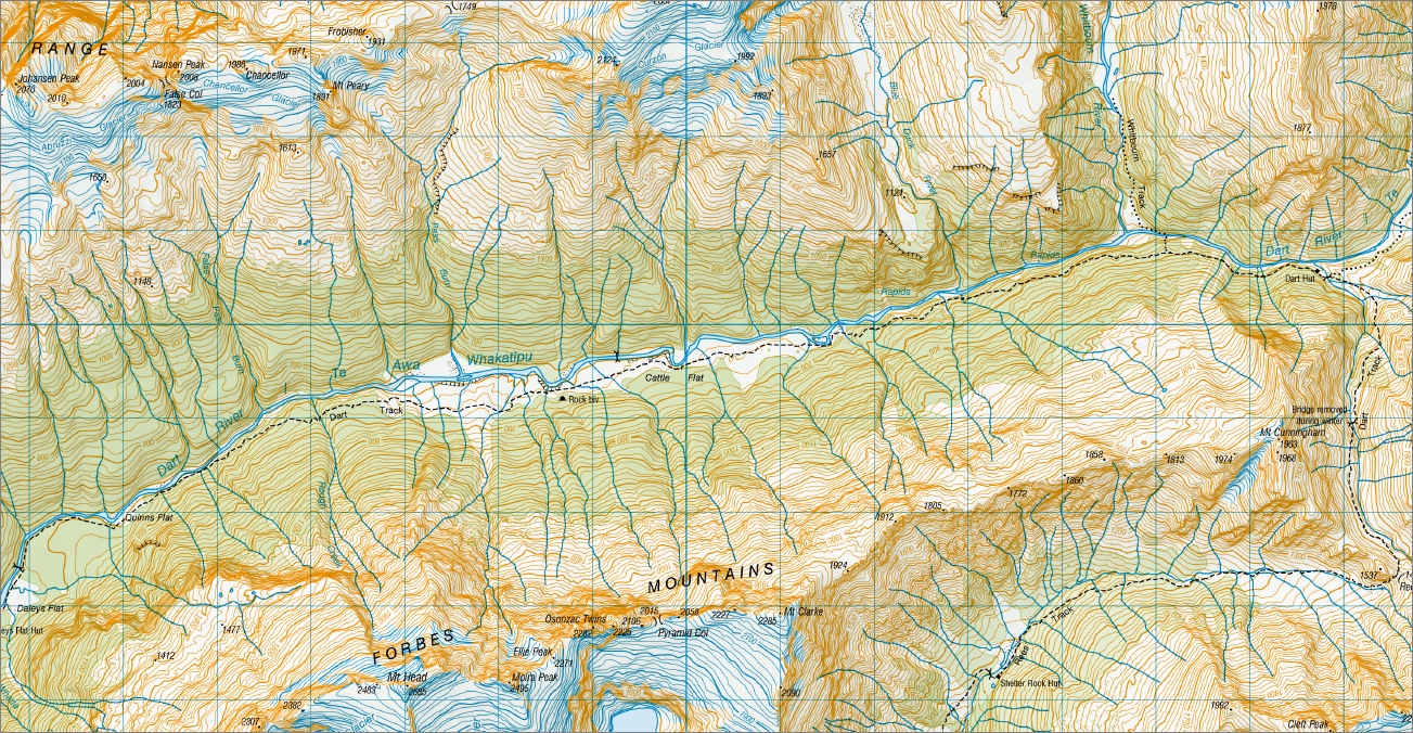 Lake Williamson 1-50,000 Topo Map CA10 NZ - Image 2